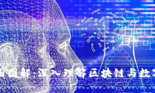 Title: 加密货币圈图解：深入理解区块链与数字货币的生态系统
