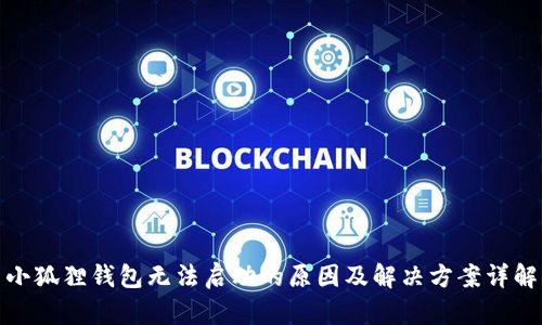 小狐狸钱包无法启动的原因及解决方案详解