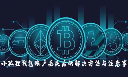 : 小狐狸钱包账户丢失后的解决方法与注意事项