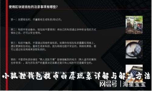 小狐狸钱包提币白屏现象详解与解决方法