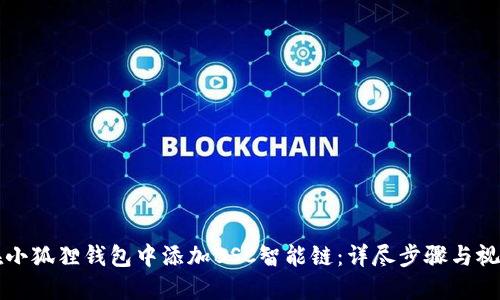 如何在小狐狸钱包中添加BSC智能链：详尽步骤与视频指南