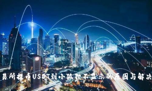 从交易所提币USDT到小狐狸不显示的原因与解决方法