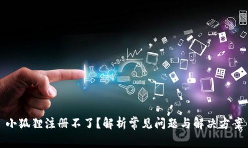 小狐狸注册不了？解析常见问题与解决方案