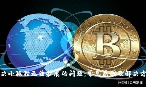 解决小狐狸无法扩展的问题：常见原因及解决方案